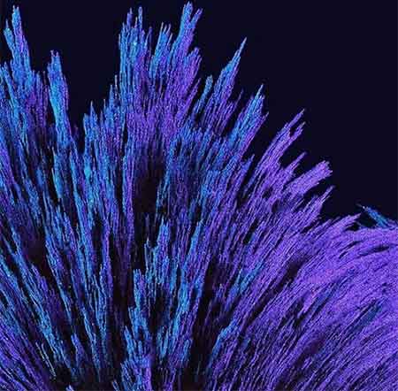 دانلود آهنگ خاطره ها ناصر تنها